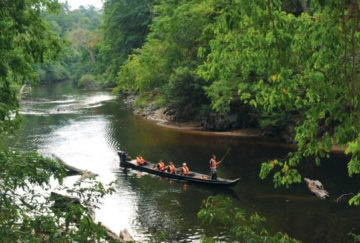 Viaje a Borneo. A medida Nomads. Aventura en Borneo