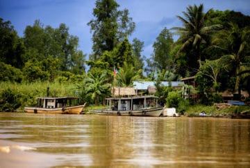 Viaje a Borneo. A medida Nomads. Borneo vida salvaje