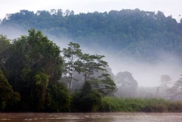 Viaje a Borneo. A medida Nomads. Borneo vida salvaje