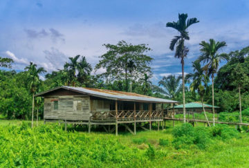 Viaje a Borneo. A medida Nomads. Aventura en Borneo