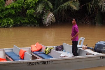 Viaje a Borneo. A medida Nomads. Borneo vida salvaje