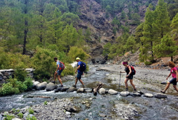 Viaje a Canarias. A medida Nomads. La Palma, varios viajes en uno, en Fly and Drive