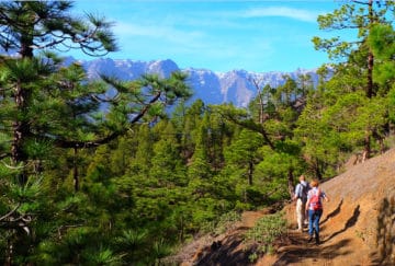 Viaje a Canarias. A medida Nomads. La Palma, varios viajes en uno, en Fly and Drive