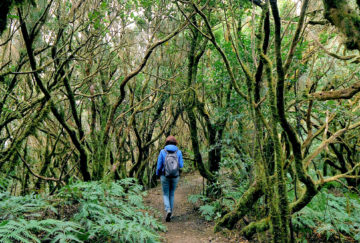 Viaje a Canarias. A medida Nomads. Tenerife desde otra mirada en Fly & Drive