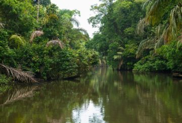 Tortuguero Canal Trip