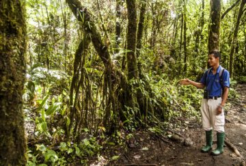 viaje a medida a costa rica