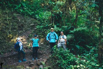 Viaje a Costa Rica. A medida Nomads. Costa Rica al limite