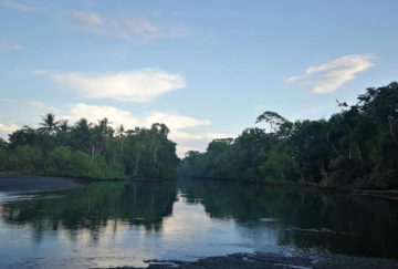 Viaje a Costa Rica. A medida Nomads. Huellas aborígenes y el exuberante Corcovado