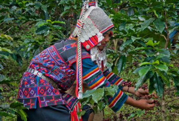 Viaje a Tailandia. A medida Nomads. Eco trekking “Da Ja”