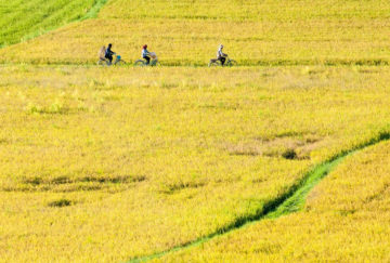 Viaje a Vietnam. A medida nomads. Pedaleando y caminando por Vietnam