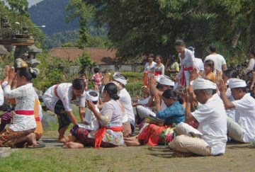 viaje indonesia alternativo