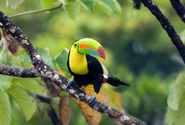 viaje de aventura a costa rica